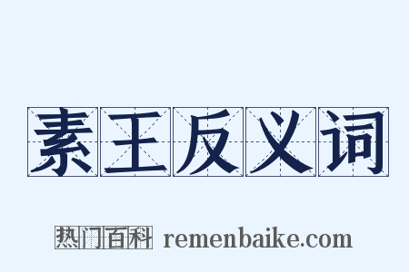 素王反义词是什么意思的图片